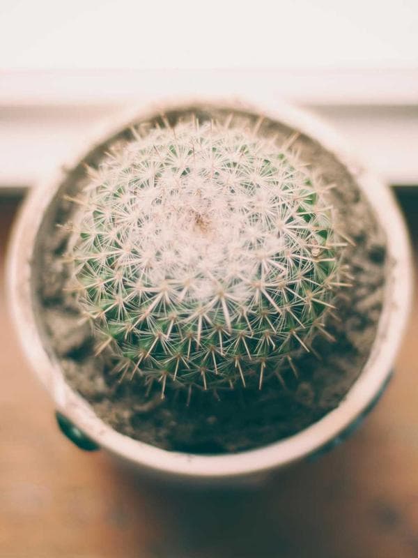 Him Outfit inspiration