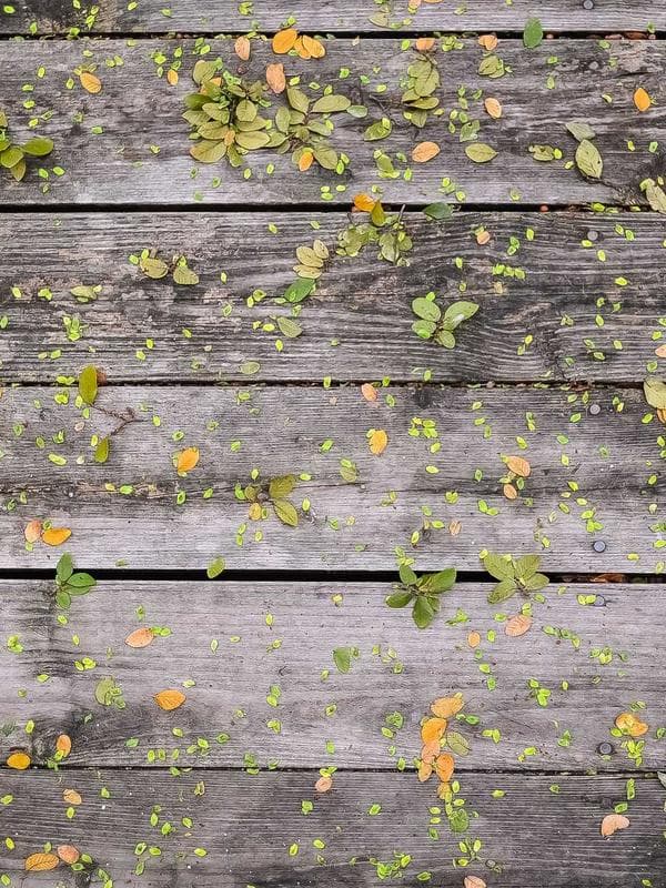 Her Outfit inspiration