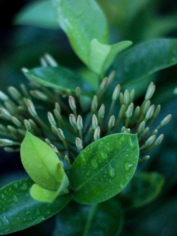 Her Outfit inspiration