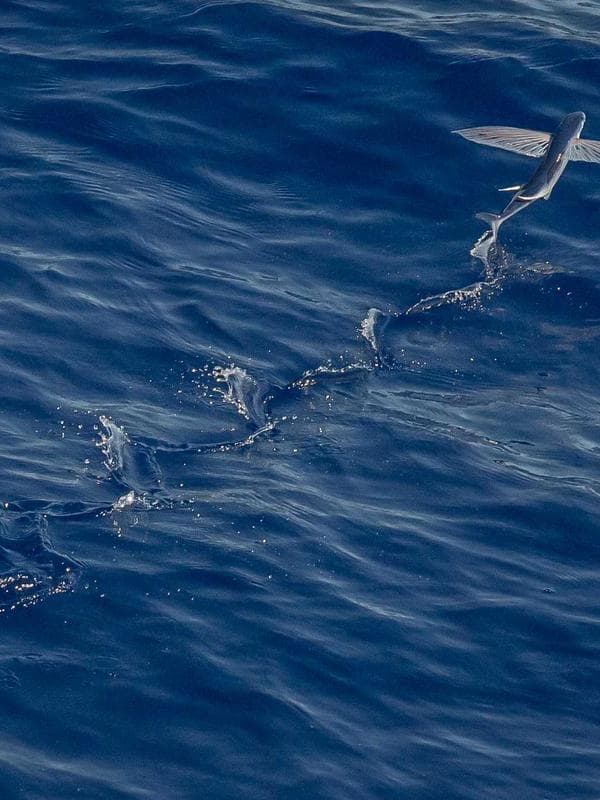 Her Outfit inspiration