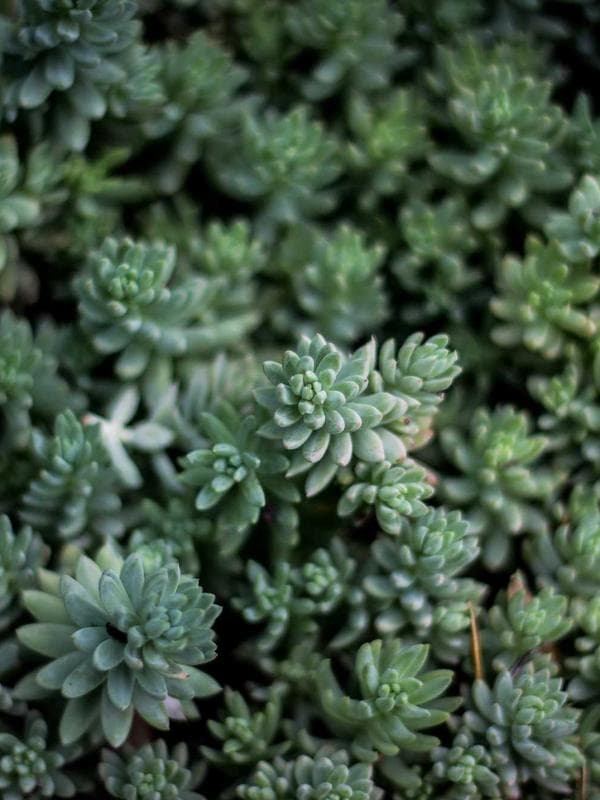 Her Outfit inspiration