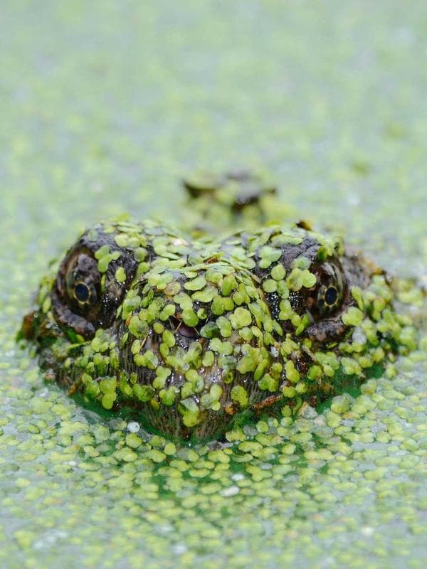 Her Outfit inspiration